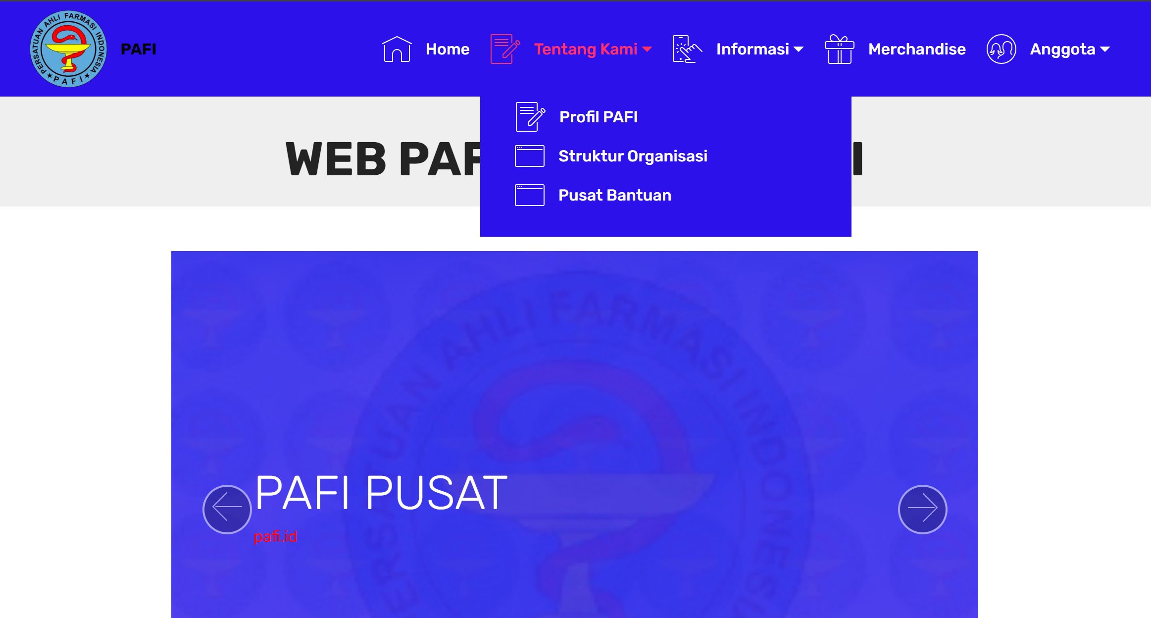 Website Resmi PAFI Kotawaringin Timur